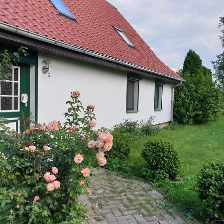 Oeko-Ferienhaus Rappin エクステリア 写真
