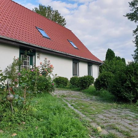 Oeko-Ferienhaus Rappin エクステリア 写真
