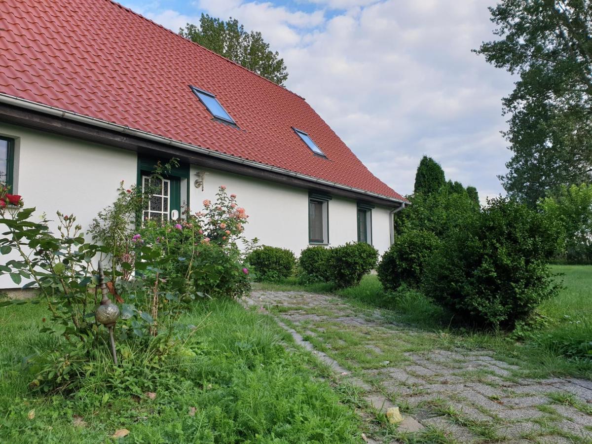 Oeko-Ferienhaus Rappin エクステリア 写真